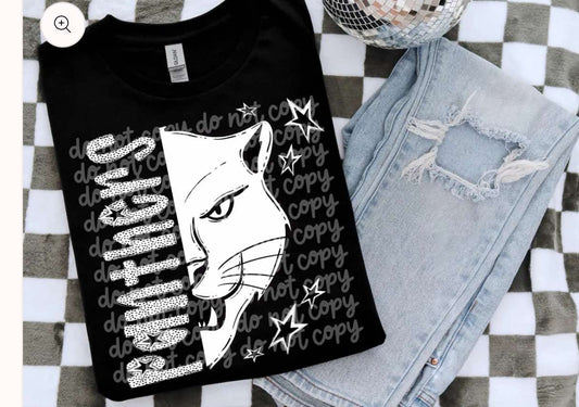 Panthers.. Screen print T-shirt on gildan.