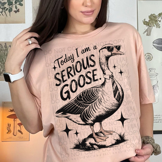 Today I am Serious Goose T-shirt